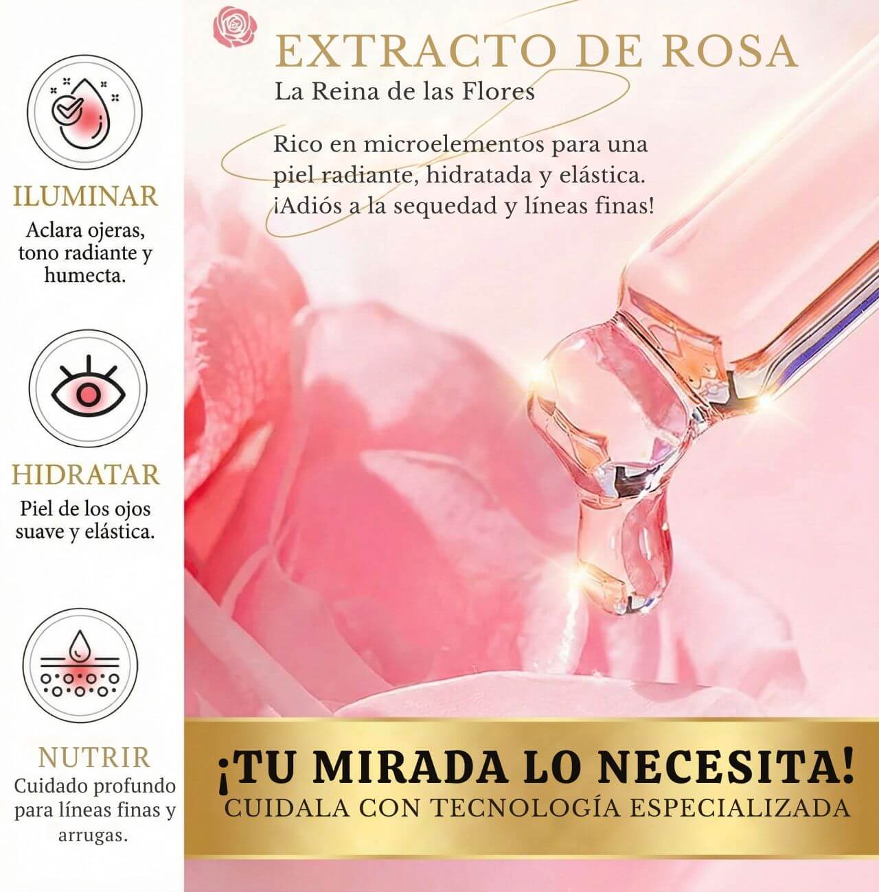 Encabezado